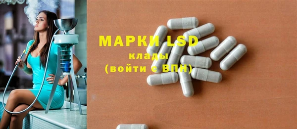 стафф Корсаков