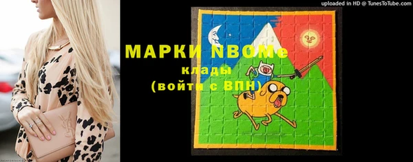 шишки Костерёво