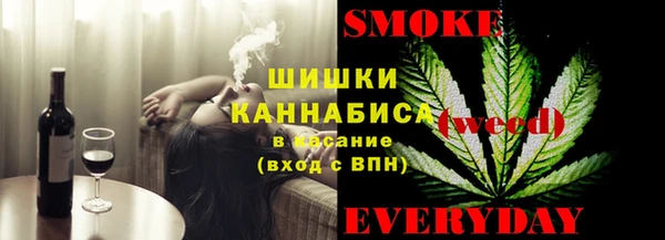 шишки Костерёво