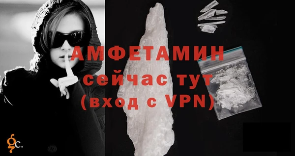 шишки Костерёво