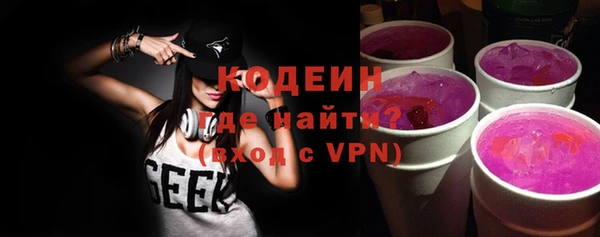 шишки Костерёво