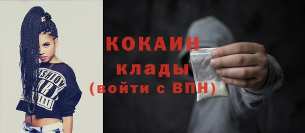 шишки Костерёво