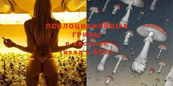 каннабис Коряжма