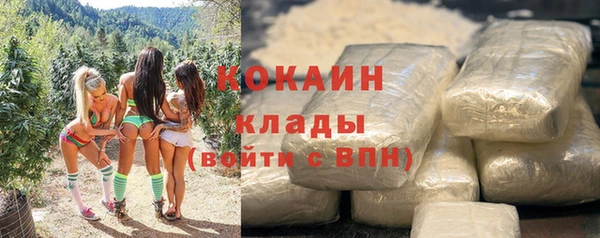 шишки Костерёво