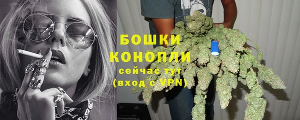 каннабис Коряжма