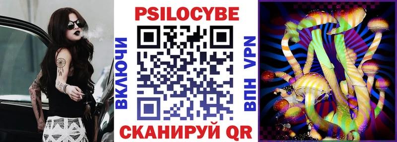 Купить где  Корсаков  Галлюциногенные грибы Cubensis 